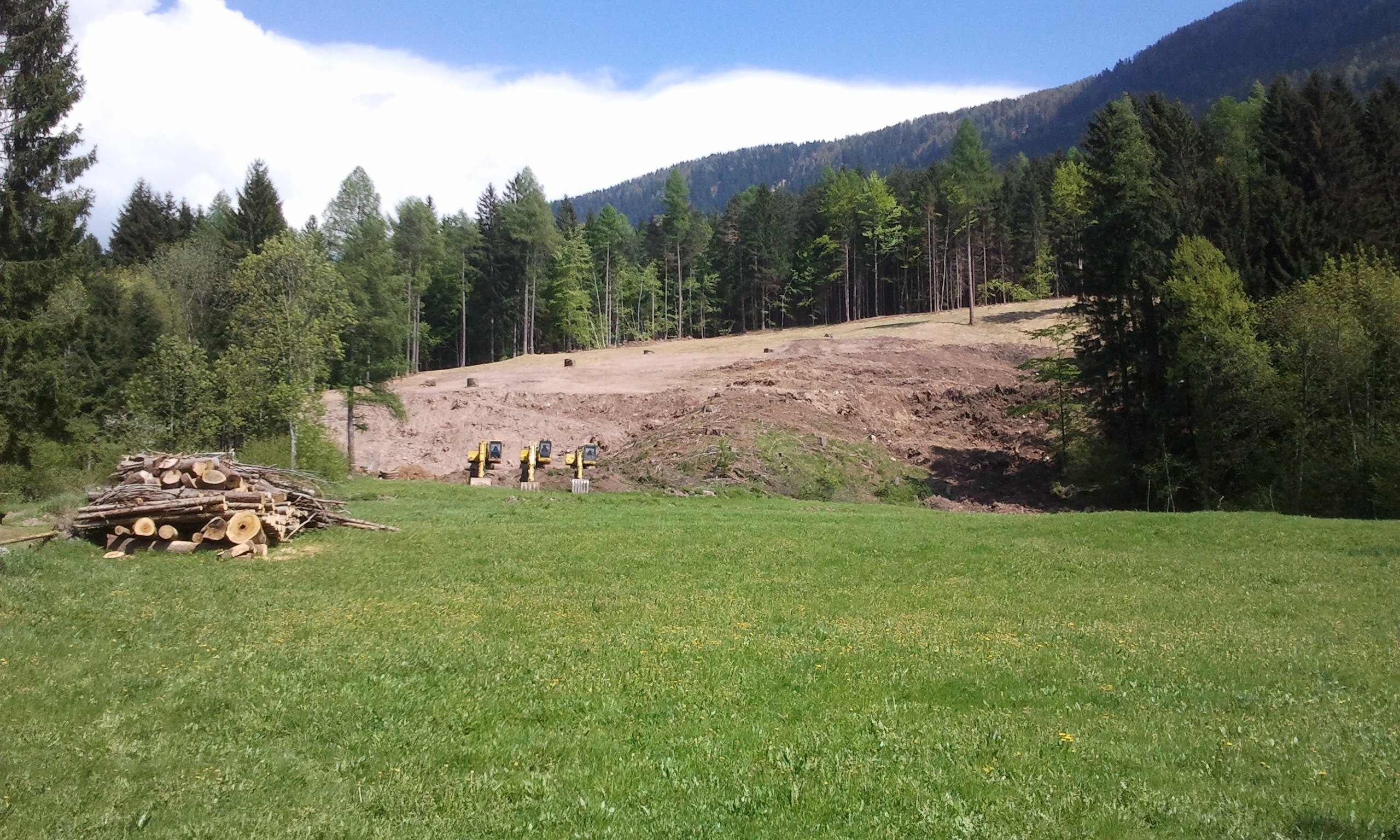 Lo squarcio nel bosco: un turista credeva fosse una pista da sci!