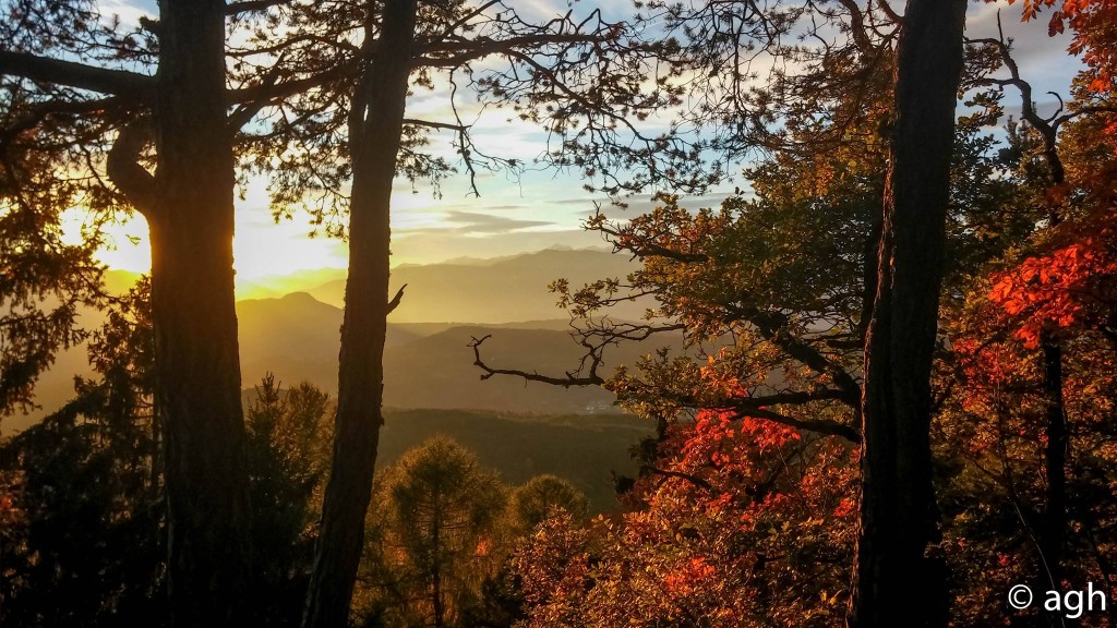 Tramonto nel bosco sull'Altpiano di Piné (foto con LG2)