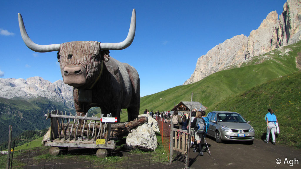 "Sentiero" nei pressi di Passo Sella 